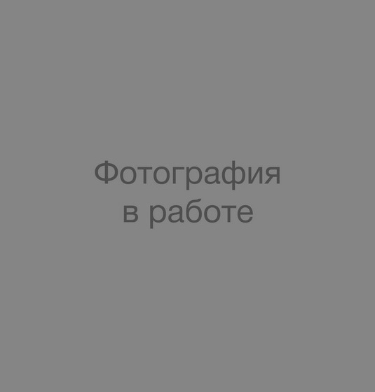 Изображение в работе Изображение в работе